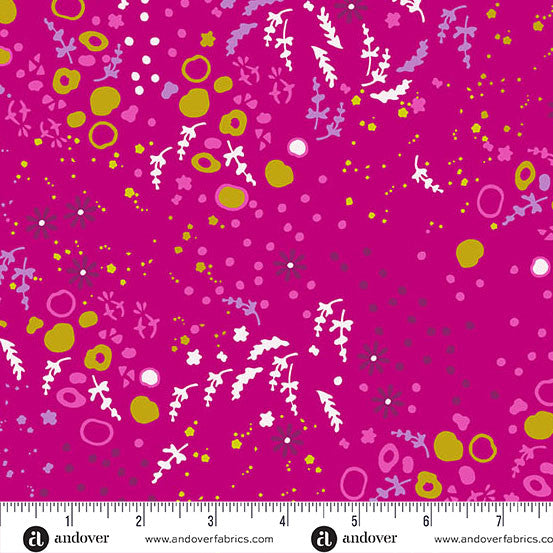 Sun Print 2026 - Equanimity - Cabbage