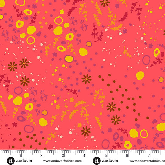 Sun Print 2026 - Equanimity - Strawberry