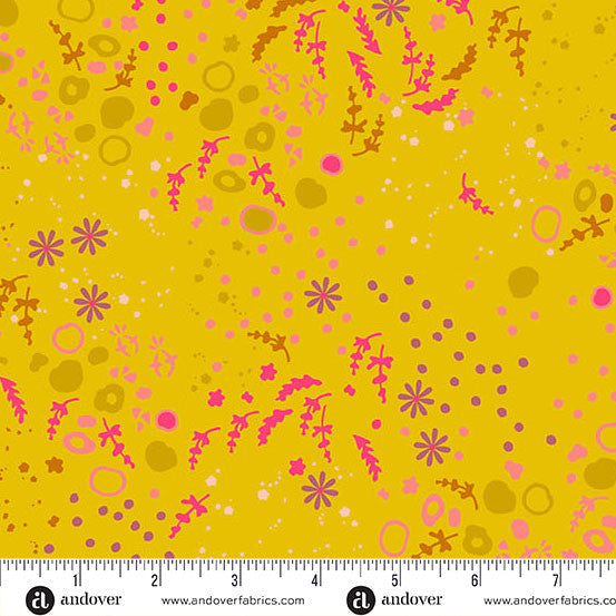 Sun Print 2026 - Equanimity - Lantern