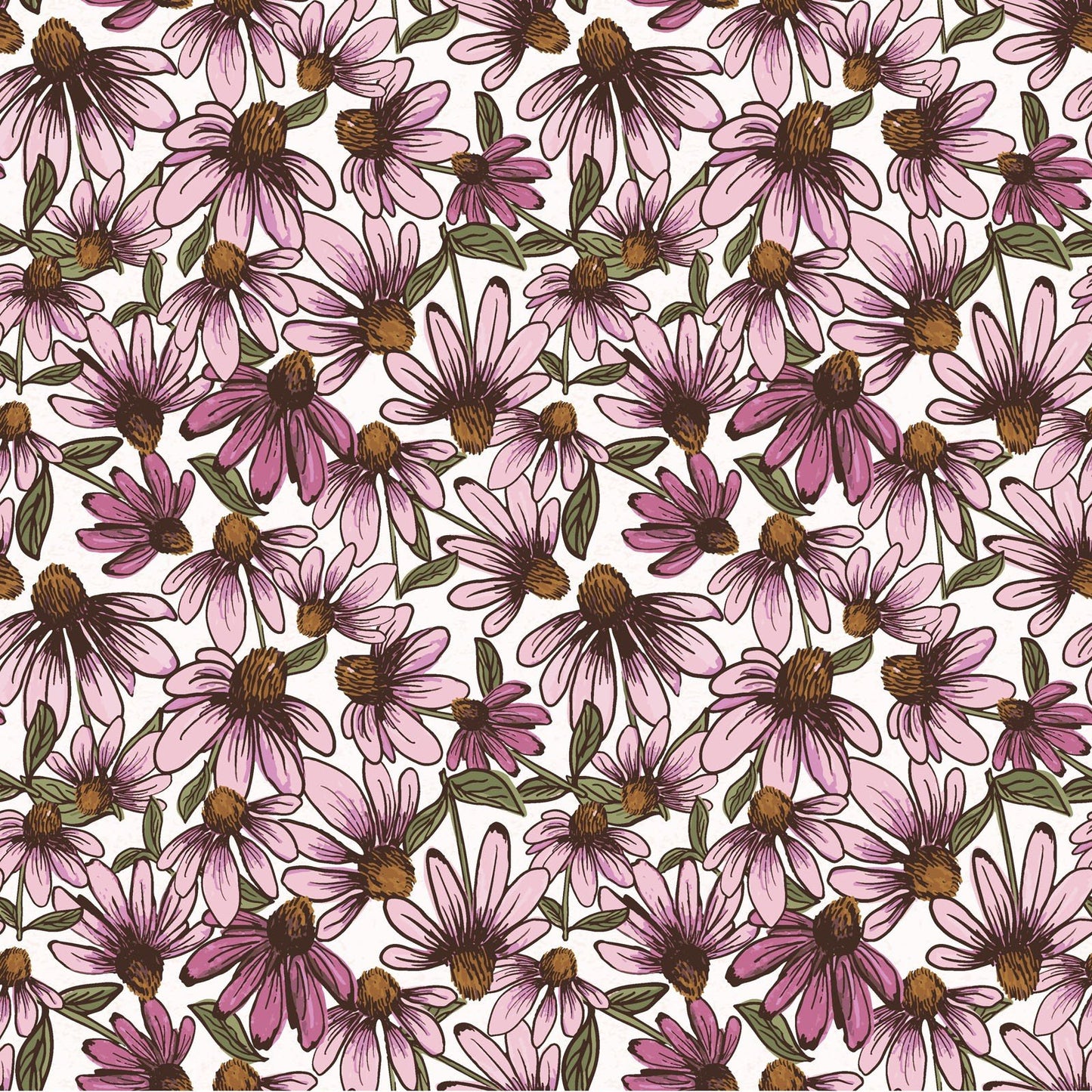 Coneflower Corral Echinacea White