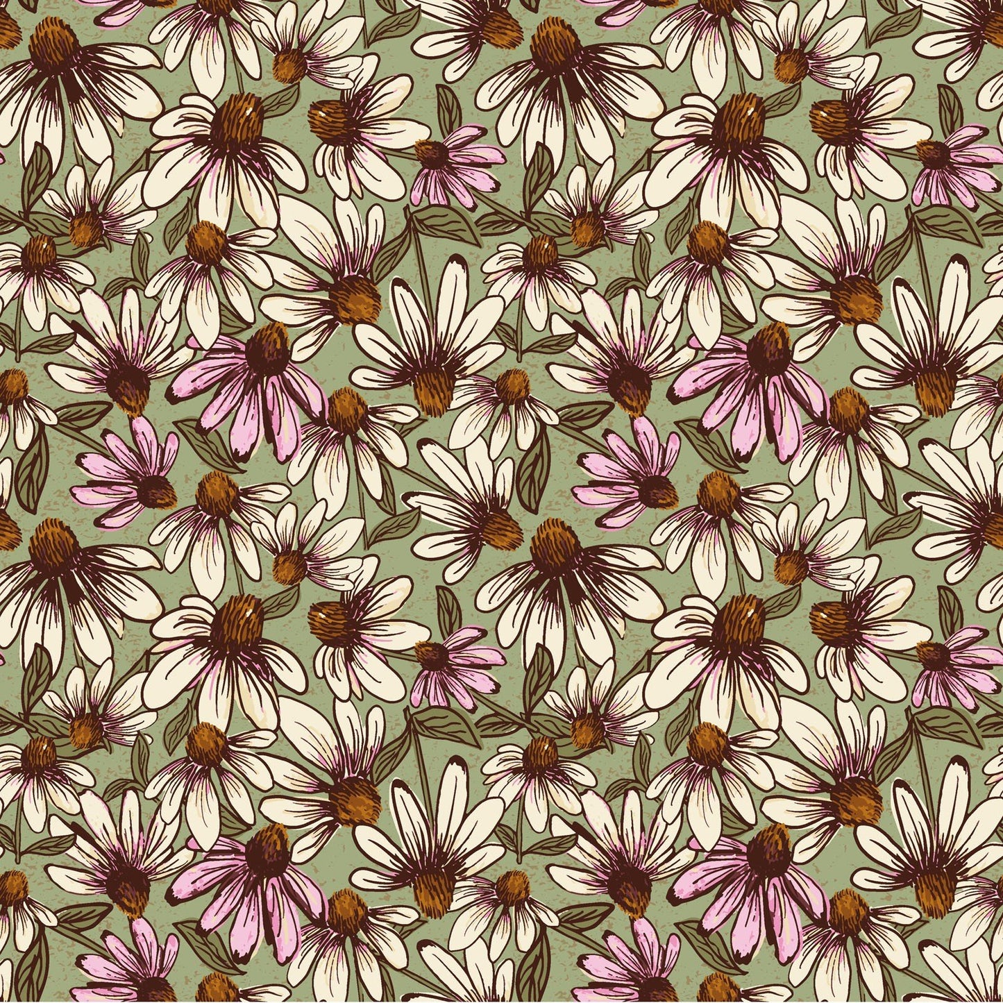 Coneflower Corral Echinacea Olive