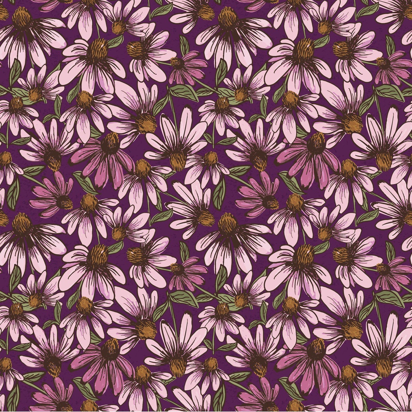 Coneflower Corral Echinacea Dark Eggplant