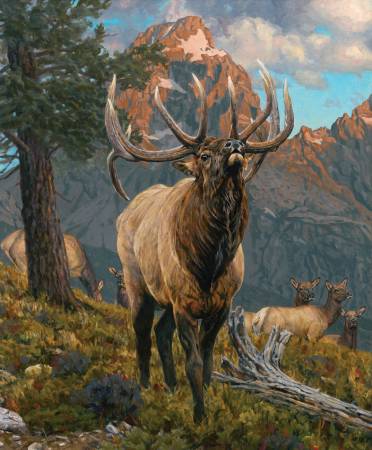 Majestic in Nature Digitally Printed 36in x 43in Grand Elk Panel