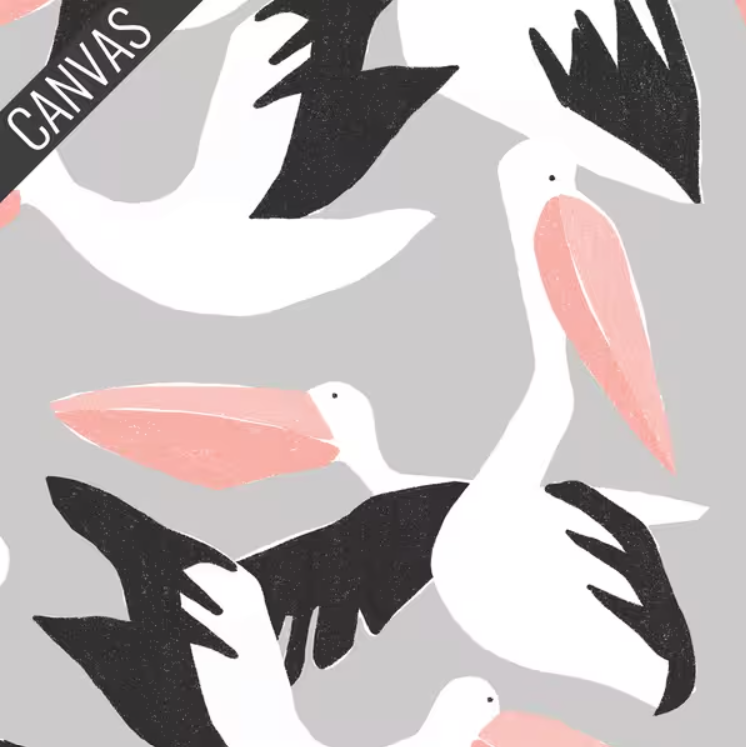 Cloud 9 - Pelicans Canvas