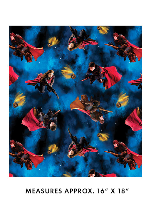 Harry Potter - Playing Quidditch