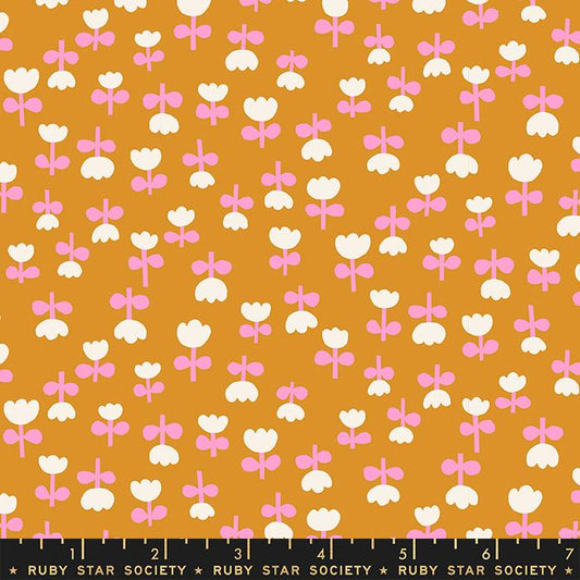 Petunia - Honey