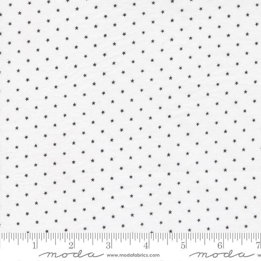 XOXO - Twinkle Lace 24106 72