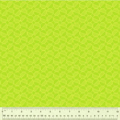 Foundation 2 - Equilibrium - Lime