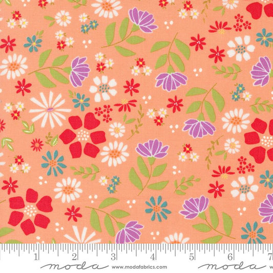 Laguna Sunrise Cantaloupe 37680 13 Moda #1