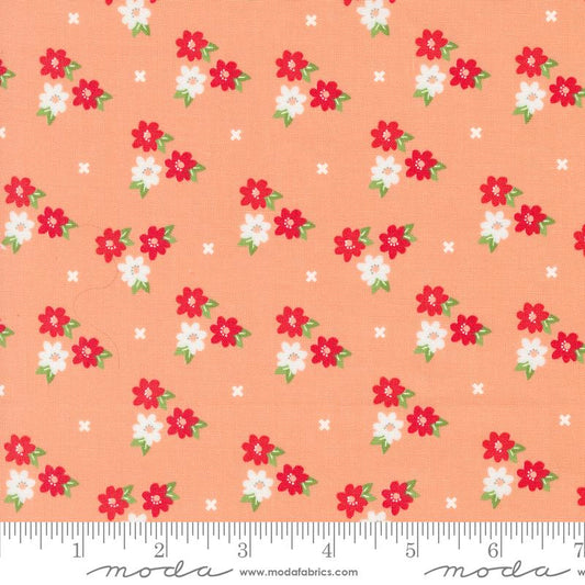 Laguna Sunrise Cantaloupe 37682 13 Moda #1