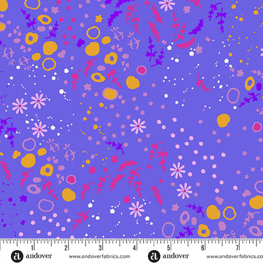 Sun Print 2026 - Equanimity - Tanzanite