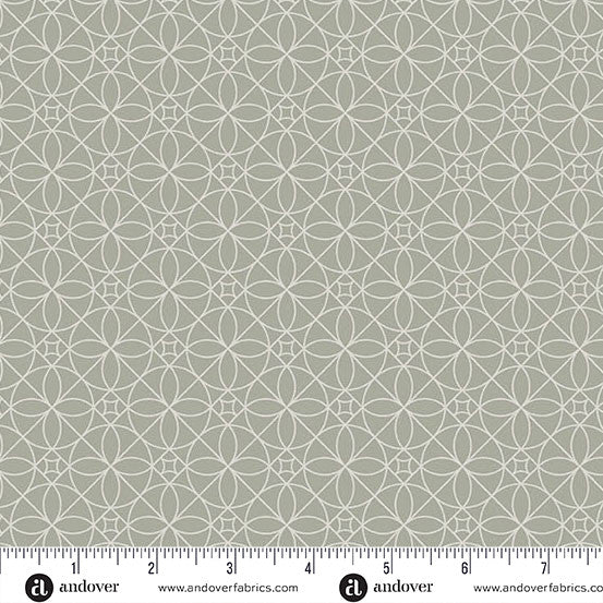 Still - Cosmic Cactus Flower - Grey