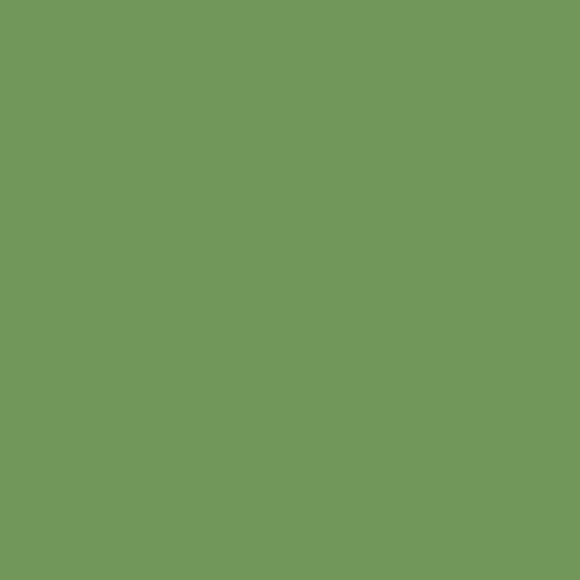 Century Solids PICKLE