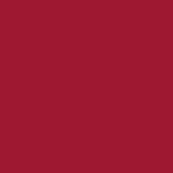 Century Solids - Redwood
