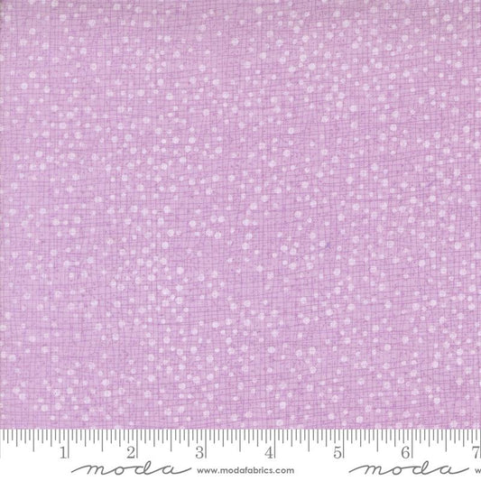 Dotty Thatched Freesia 48715 220