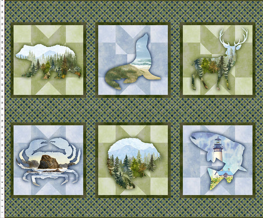 APNWSH 2025 Panel 36"  MORE JUST IN