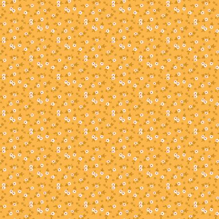 Cook Book Blossom Daisy