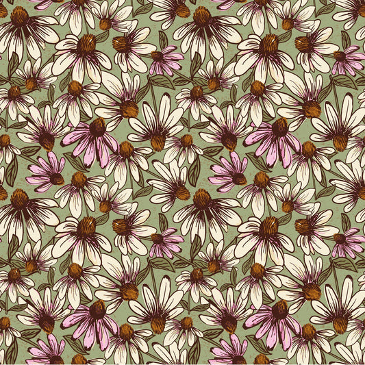 Coneflower Corral Echinacea Olive