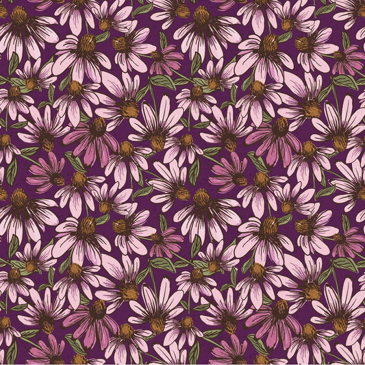 Coneflower Corral Echinacea Dark Eggplant