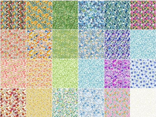 Lovelies Strip Roll - 23ct (2 1/2")